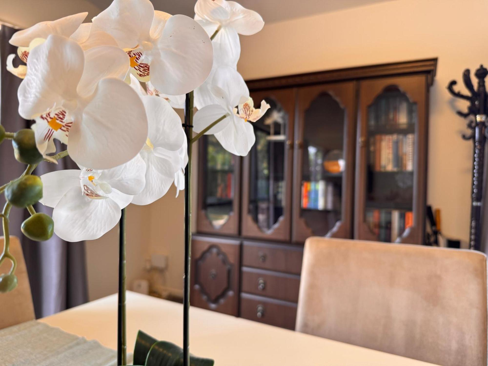 Woodbank Retreat Villa Ханмер Спрингс Екстериор снимка